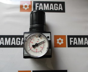регулятор давления Riegler 107
 Riegler